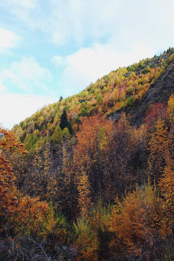 13262121_10156911563085641_1637315511_o