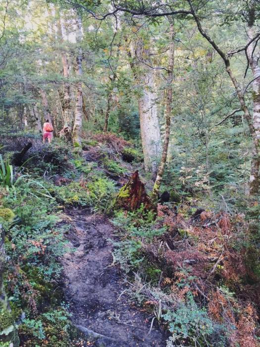 13271454_10156911466970641_1224222902_o