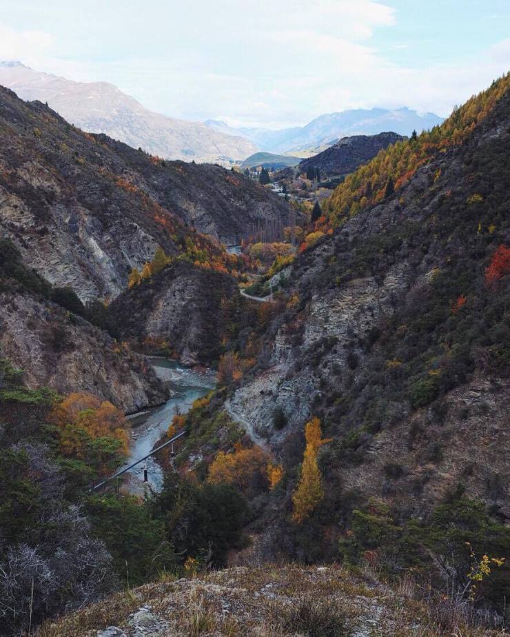 13275340_10156911562410641_216339384_o