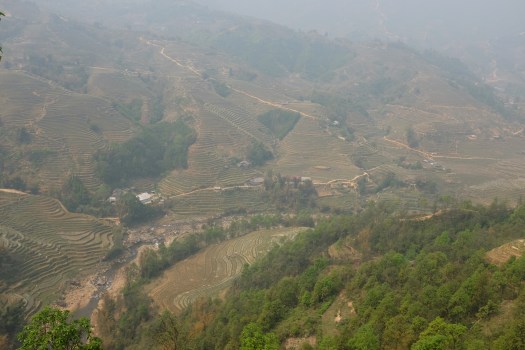 sapa1